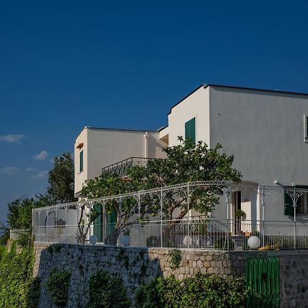 Villa La Pagaia Sorrento Coast ヴィーコ・エクエンセ エクステリア 写真