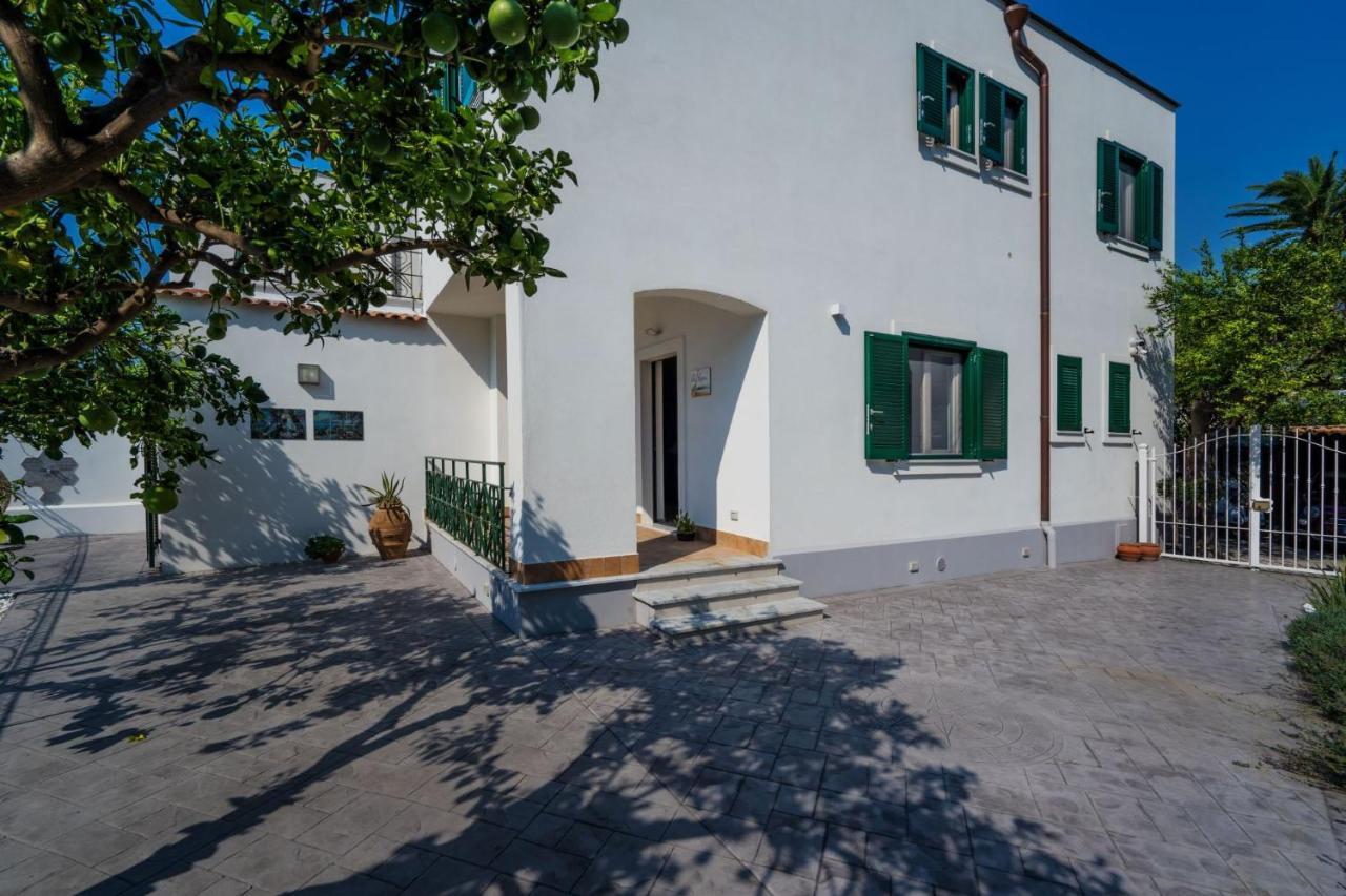 Villa La Pagaia Sorrento Coast ヴィーコ・エクエンセ エクステリア 写真